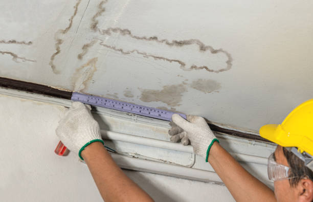 Reliable Structural Drying contractor in Republic, WA by Water Damage Irwin